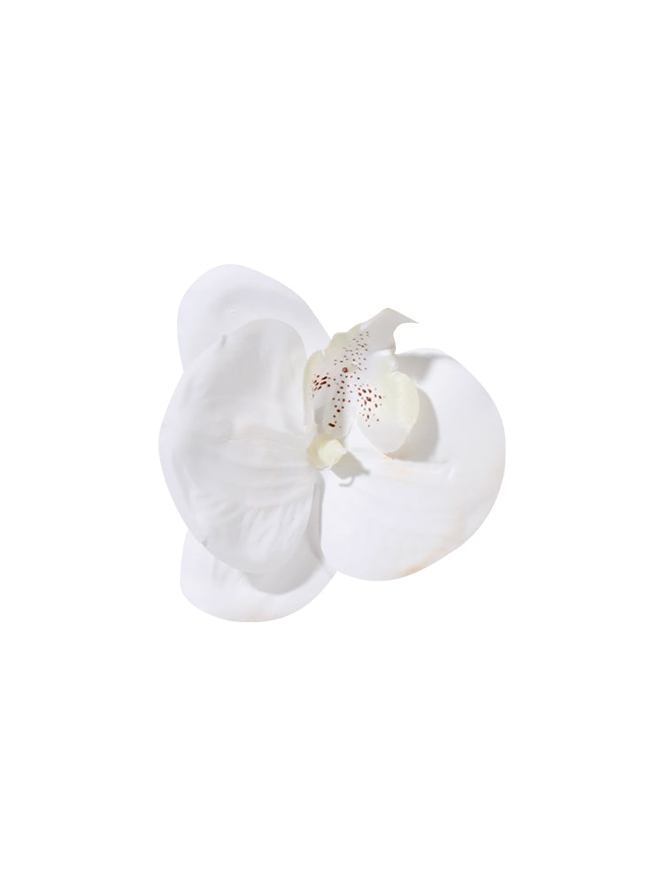 Orchid Clip #HD01