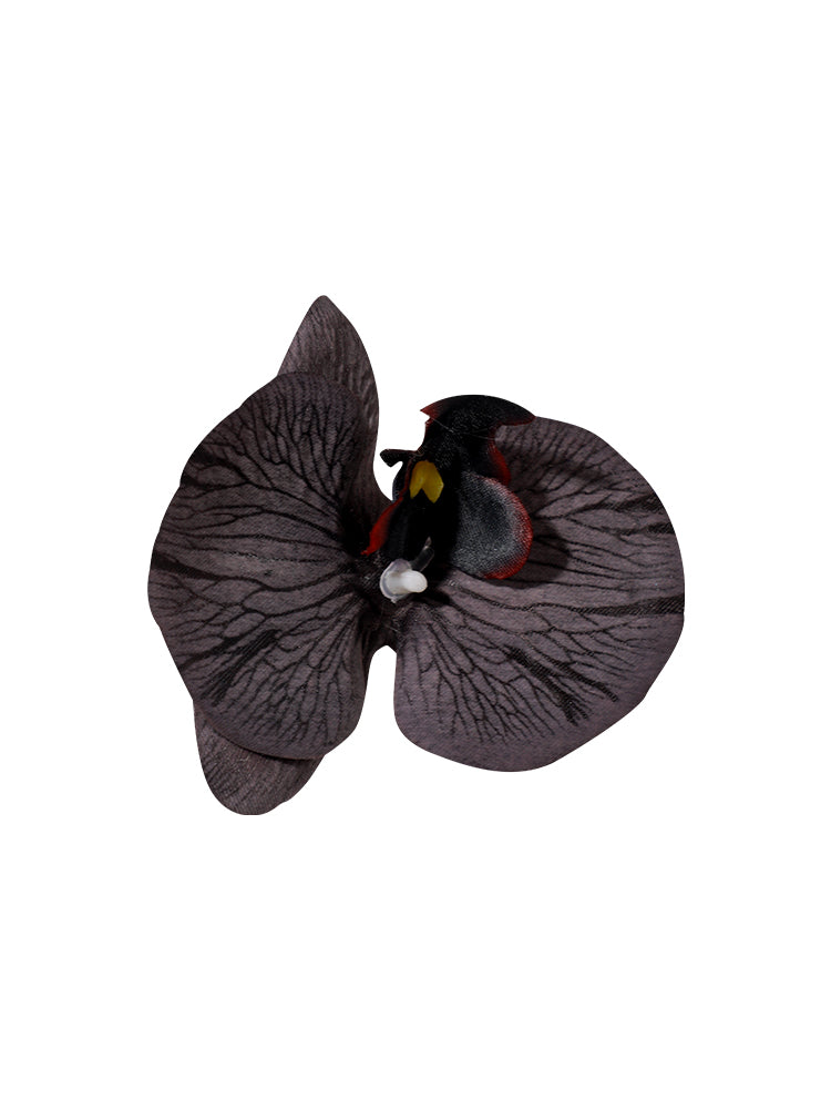Orchid Clip #HD01